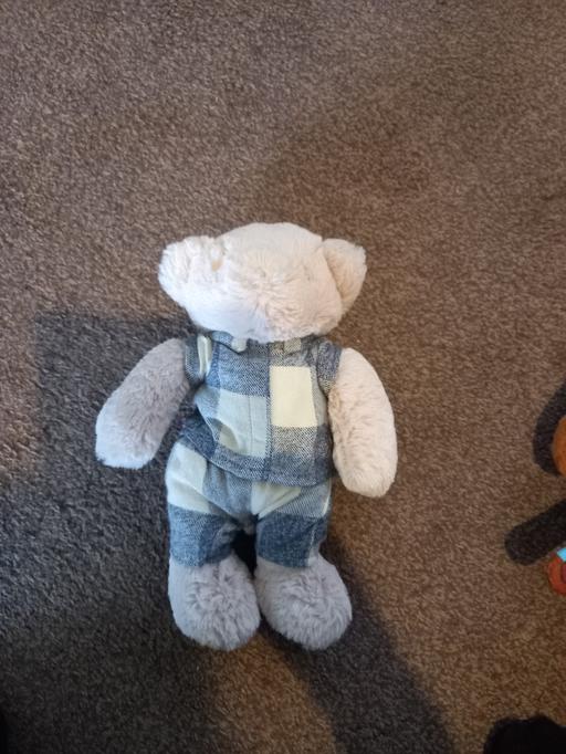 Buy & Sell Essington Wolverhampton - Photos for next teddy