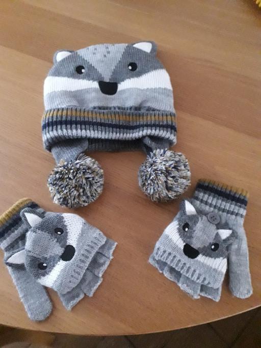Buy & Sell Wednesbury Sandwell - Photos for hat/ gloves 3/5yrs