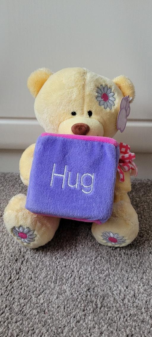 Buy & Sell Great Houghton Barnsley - Photos for Large Posh paws Teddy