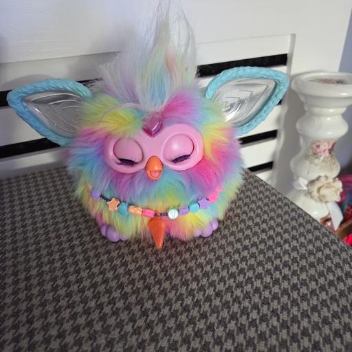 Buy & Sell Abington West Northamptonshire - Photos for Furby