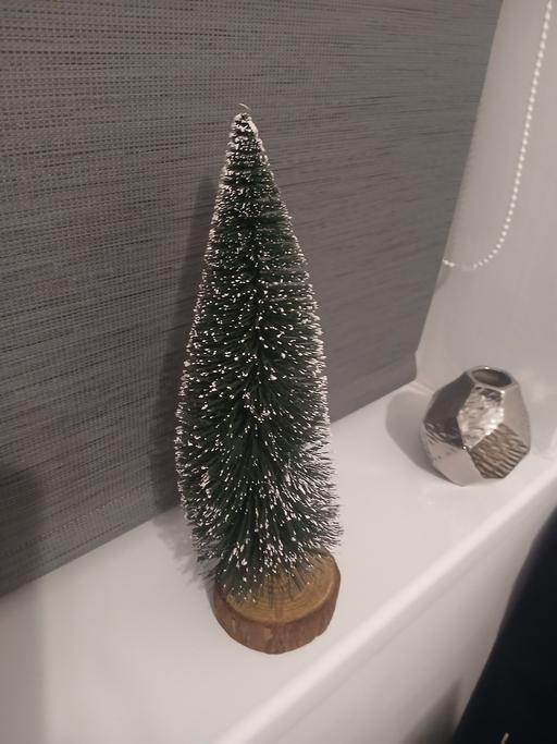 Buy & Sell Penn Wolverhampton - Photos for Christmas tree ornament