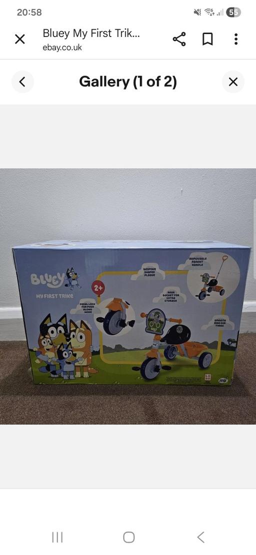 Buy & Sell Cradley Heath Sandwell - Photos for Bluey Trike