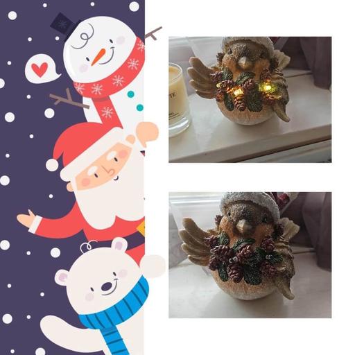 Buy & Sell Newry Newry, Mourne and Down - Photos for Light Up Robin