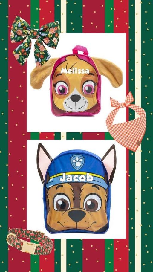 Buy & Sell Newry Newry, Mourne and Down - Photos for Paw Patrol Activity Backpack - Chase/Skye