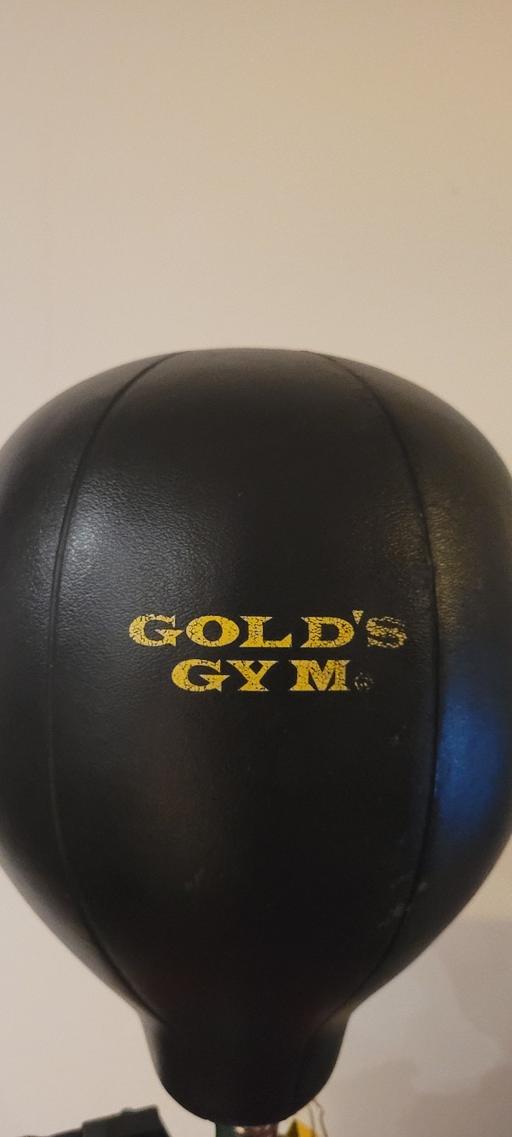 Buy & Sell Hook South West London - Photos for Punching Bag Gold's Gym