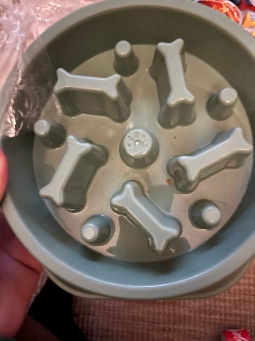 Buy & Sell Wednesfield Wolverhampton - Photos for New slow feeder dog bowls 1£ each lots