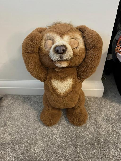 Buy & Sell Waltham Forest East London - Photos for Hasbro Furreal talking bear
