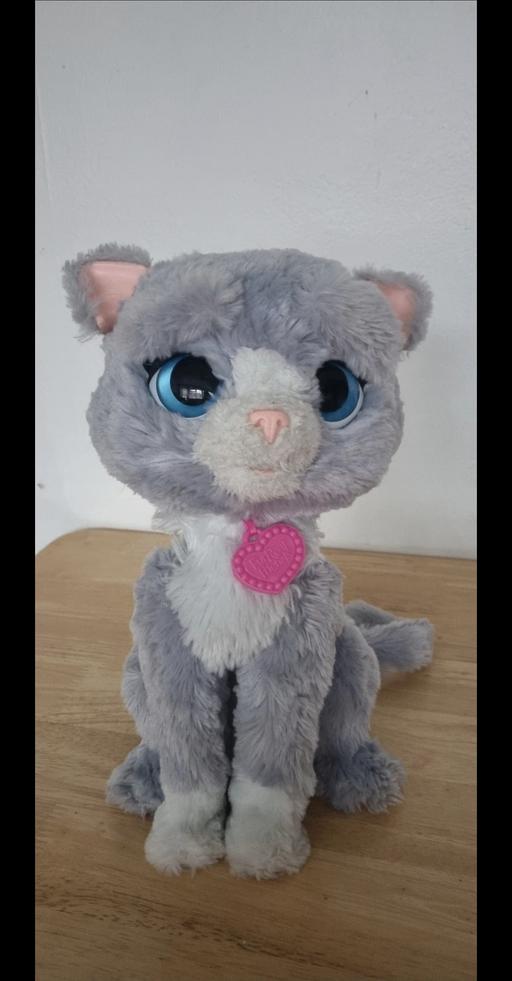 Buy & Sell Waltham Forest East London - Photos for Furreal Cat