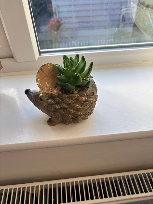 Buy & Sell Rhos on Sea Conwy - Photos for Ornament