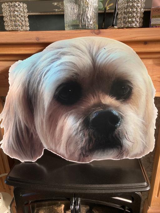 Buy & Sell Sedgley Dudley - Photos for Dog wall art