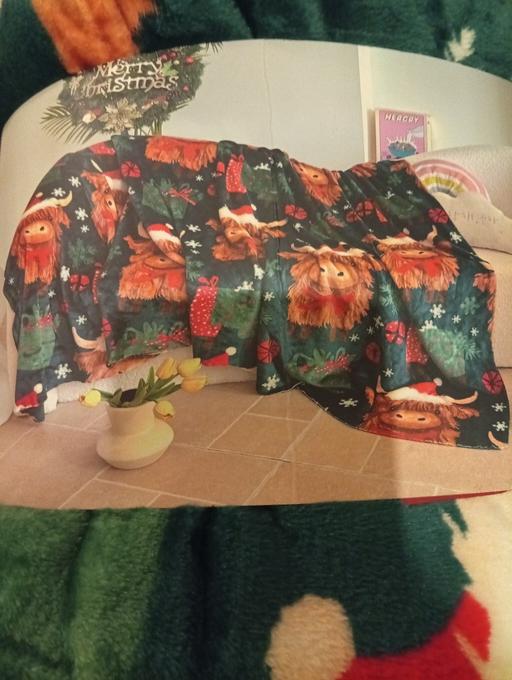 Buy & Sell Parkgate Rotherham - Photos for highland cow throw