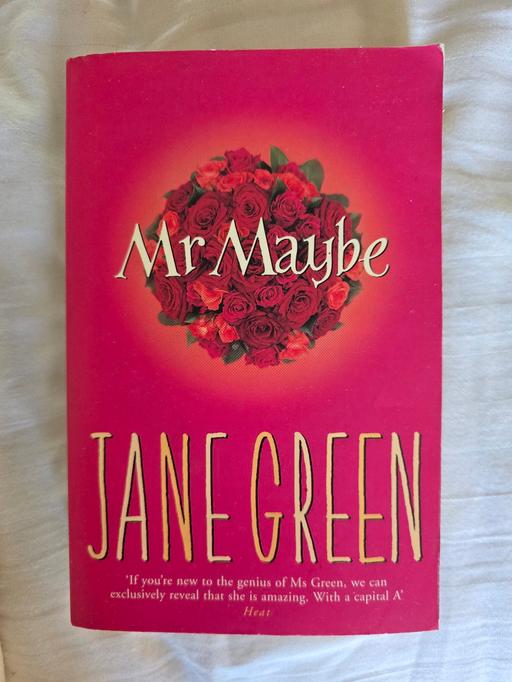 Buy & Sell Rowley Regis Sandwell - Photos for Jane Green - Mr Maybe