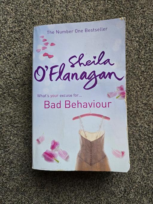 Buy & Sell Rowley Regis Sandwell - Photos for Bad Behaviour - Sheila O'Flanagan paperback