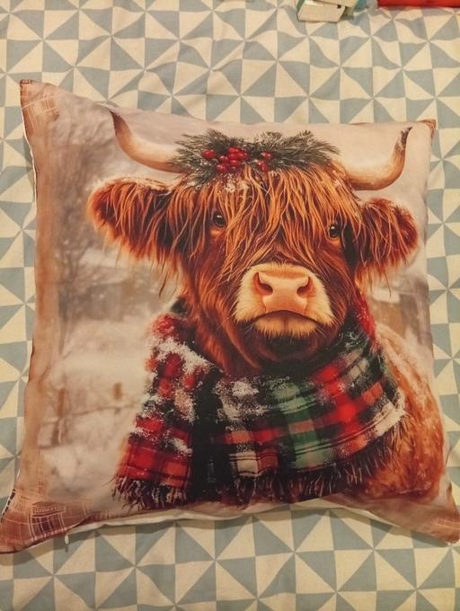 Buy & Sell Parkgate Rotherham - Photos for cushion