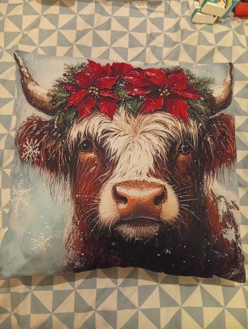 Buy & Sell Parkgate Rotherham - Photos for cushion