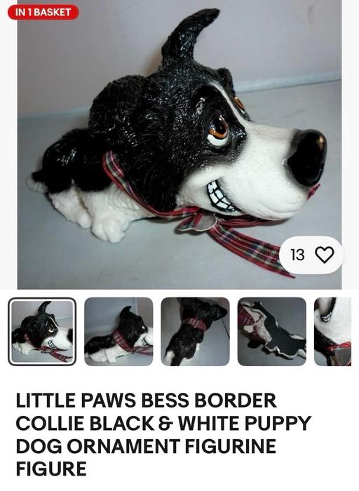 Buy & Sell Sherwood Oaks Business Park Mansfield - Photos for Little Paws Bess the Border Collie