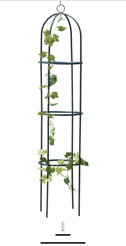 Buy & Sell Sheffield Sheffield - Photos for Obelisk outdoor metal climbing plant