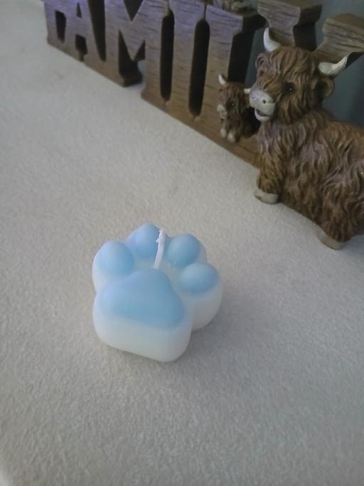 Buy & Sell Bradley Fold Trading Estate Bury - Photos for Paw Print Candle New