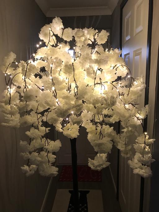 Buy & Sell Datchet Windsor and Maidenhead - Photos for Lamp