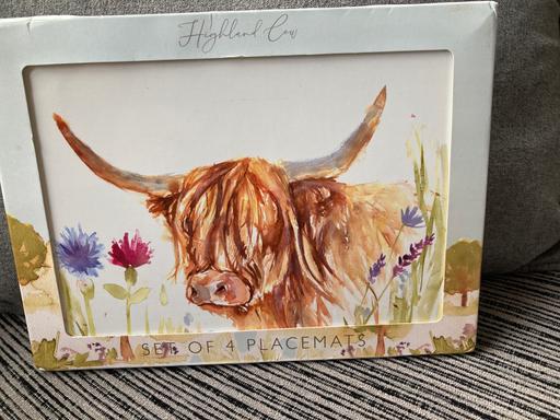 Buy & Sell Sedgley Dudley - Photos for Leonardo place mats