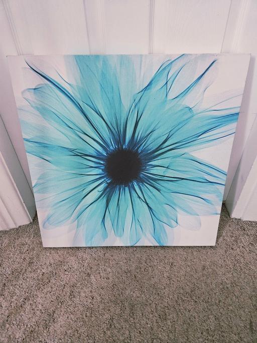 Buy & Sell Newton Doncaster - Photos for Flower picture.