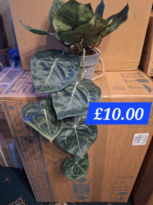 Buy & Sell Walton Liverpool - Photos for New artificial plant