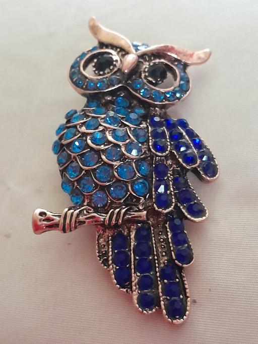 Buy & Sell Telford Telford and Wrekin - Photos for OWL LOVERS BROOCH