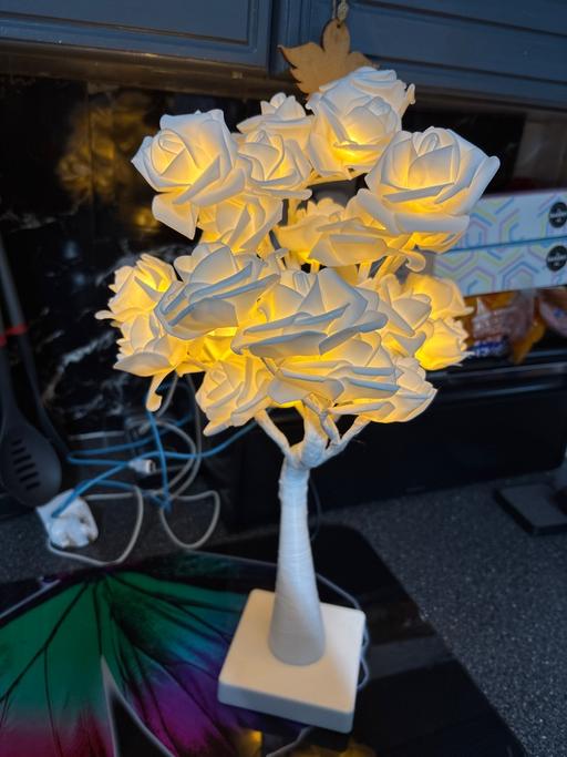 Buy & Sell Duckmanton Chesterfield - Photos for LED rose tree decoration