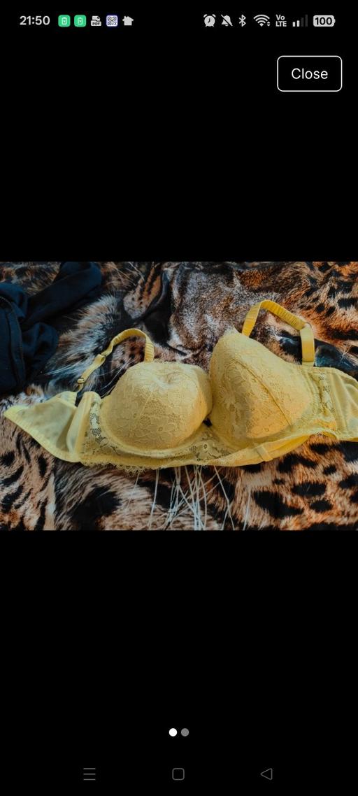 Buy & Sell Ponthenry Carmarthenshire - Wales - Photos for Bra