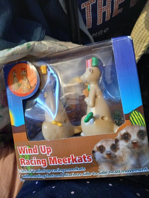 Buy & Sell Netherton Dudley - Photos for winding up racing meerkats