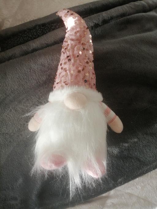 Buy & Sell Moseley Village Wolverhampton - Photos for New light up Xmas Gonk