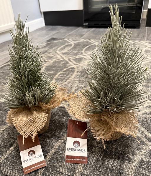 Buy & Sell Thurnscoe Barnsley - Photos for Christmas Trees 🌲
