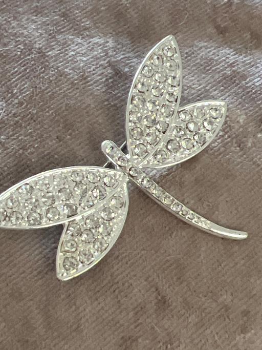 Buy & Sell Rottingdean Brighton - Photos for Beautiful brooch