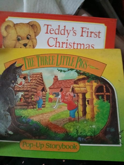 Buy & Sell Netherton Dudley - Photos for 2 pop up picture books