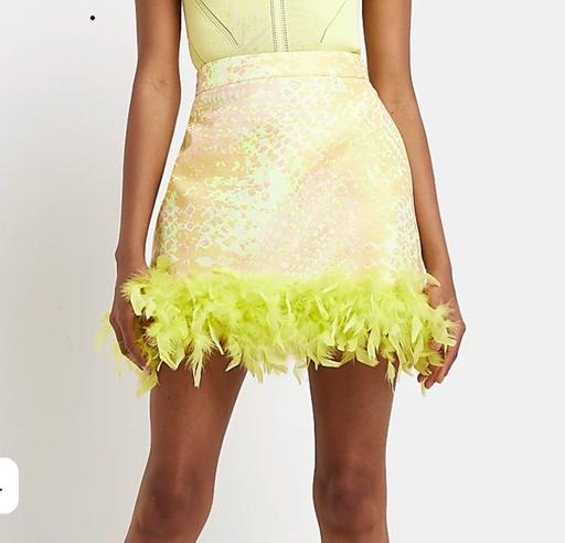 Buy & Sell Woolwich South East London - Photos for River island feather skirt. Size 12 Uk new