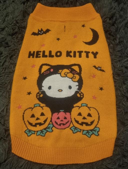 Buy & Sell Clayton West Kirklees - Photos for Orange Hello Kitty Dog Jumper - Size Medium