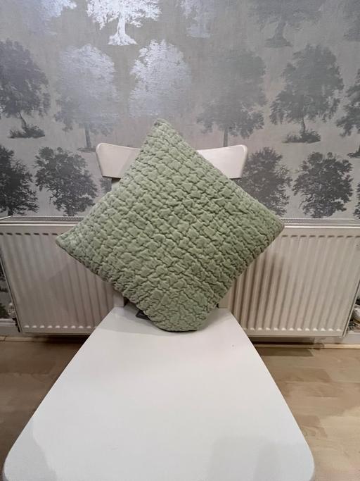 Buy & Sell Bradley Wolverhampton - Photos for Velvet cushion covers Mint green