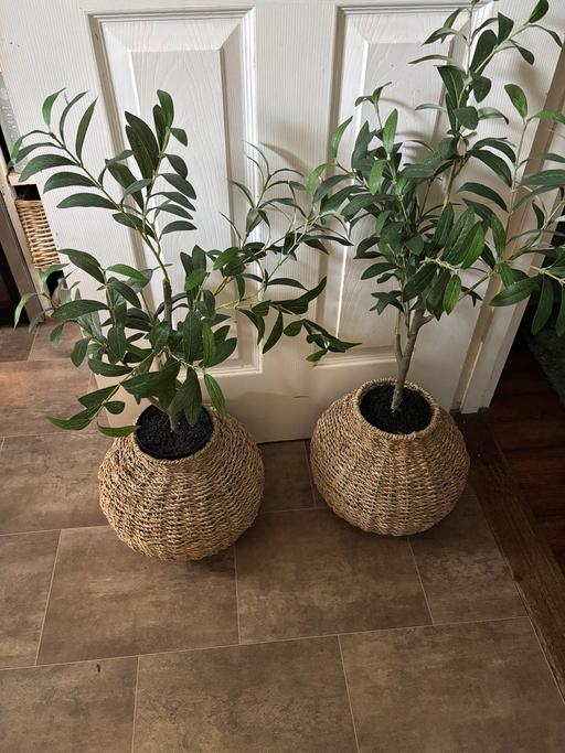 Buy & Sell Bartley Green Birmingham - Photos for Two large artificial plants