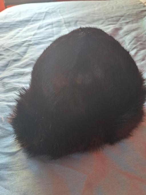 Buy & Sell Newmilns East Ayrshire - Photos for Ladies hat