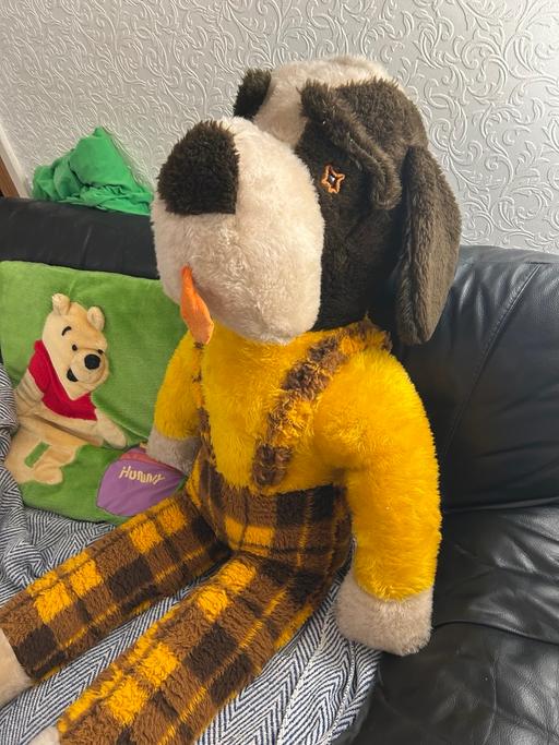 Buy & Sell Quinton Birmingham - Photos for Big dog