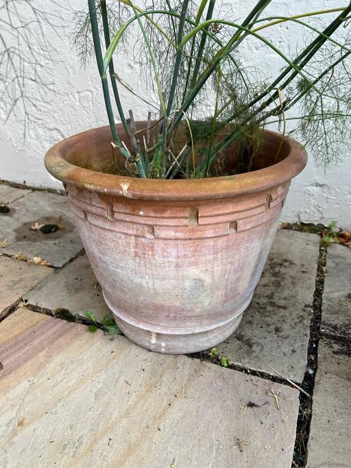Buy & Sell Goddards Green West Berkshire - Photos for 2 terracotta pots