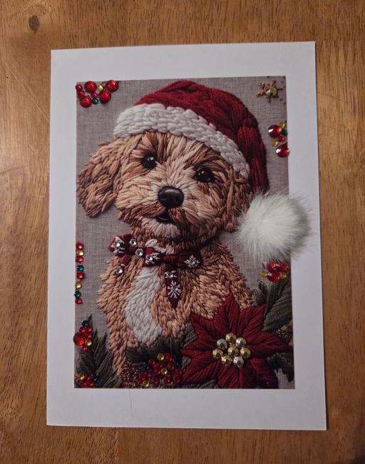 Classes Westgate-on-Sea Thanet - Photos for DOG XMAS CARD