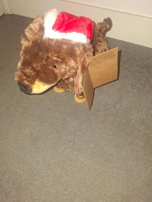 Buy & Sell Worsbrough Common Barnsley - Photos for brand new dancing dog teddy