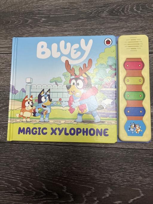 Buy & Sell Woodsetton Dudley - Photos for BLUEY musical book