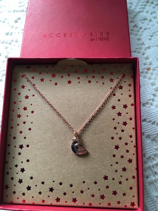 Buy & Sell Langford Central Bedfordshire - Photos for Robin necklace from Next