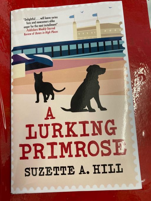 Buy & Sell Clevedon North Somerset - Photos for A LURKING PRIMROSE SUZETTE A HILL 2024