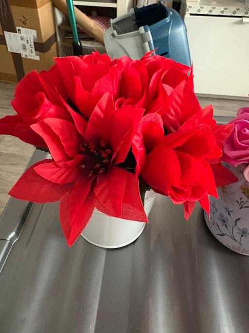 Buy & Sell Hackney East London - Photos for Red flower gift