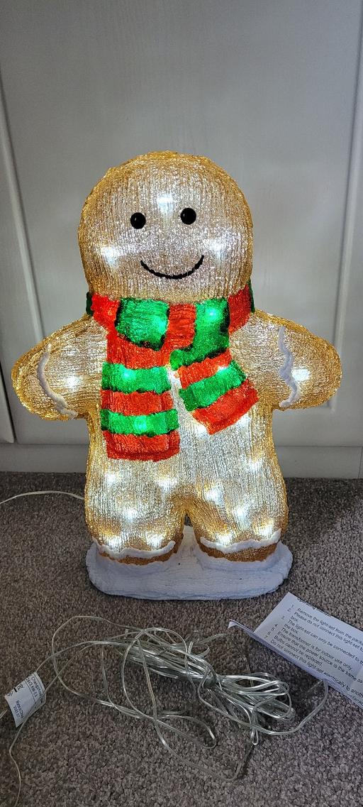 Buy & Sell Great Houghton Barnsley - Photos for Acrylic light up Gingerbread man
