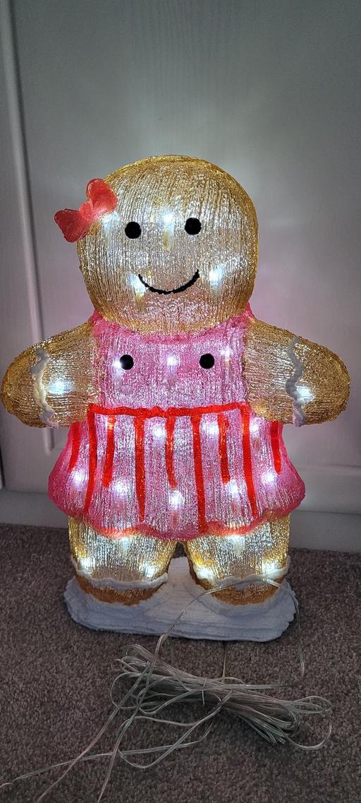 Buy & Sell Great Houghton Barnsley - Photos for Acrylic light up Gingerbread girl