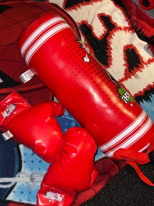 Buy & Sell Cradley Heath Sandwell - Photos for Boxing bag